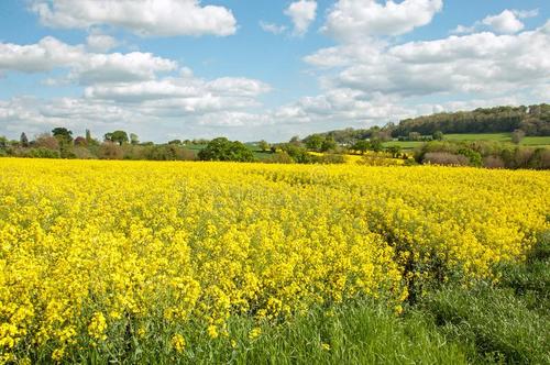 工信部公示5項肥料行業(yè)標(biāo)準(zhǔn)